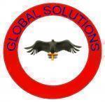 GLOBAL SOLUTION SYS