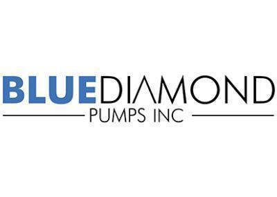 BLUE DIAMOND PUMPS